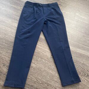 Express dresspants